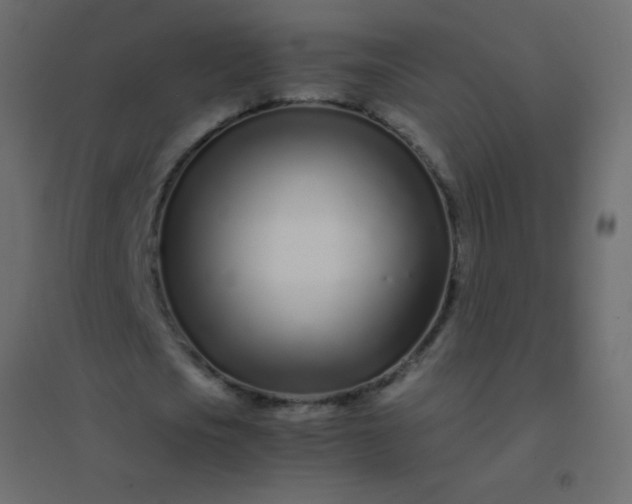 X0000094930721200712131536