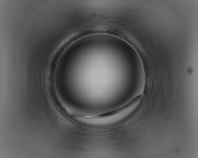 X0000094930722200712131536