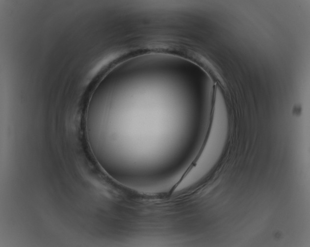 X0000094930723200712131536