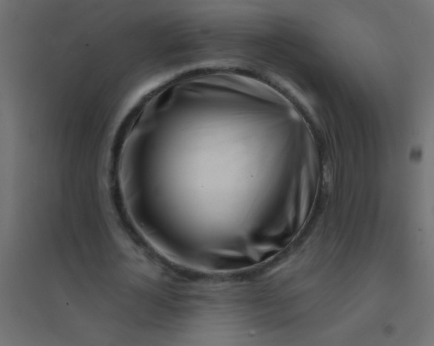 X0000094930724200712131537