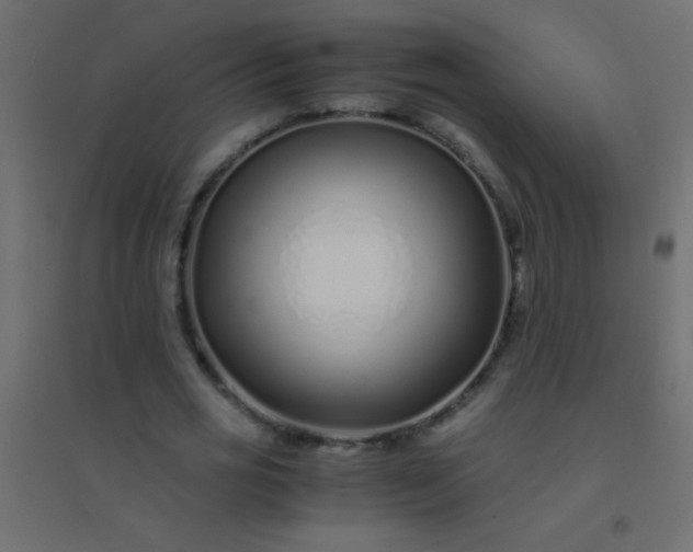 X0000094930725200712131537