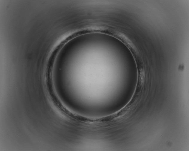 X0000094930726200712131537