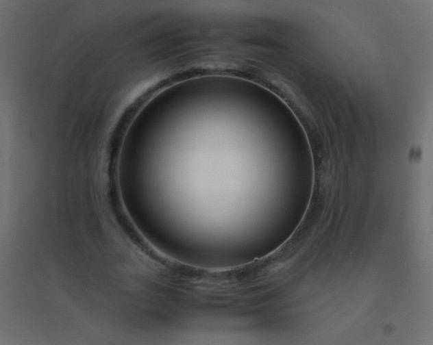 X0000094930727200712131537