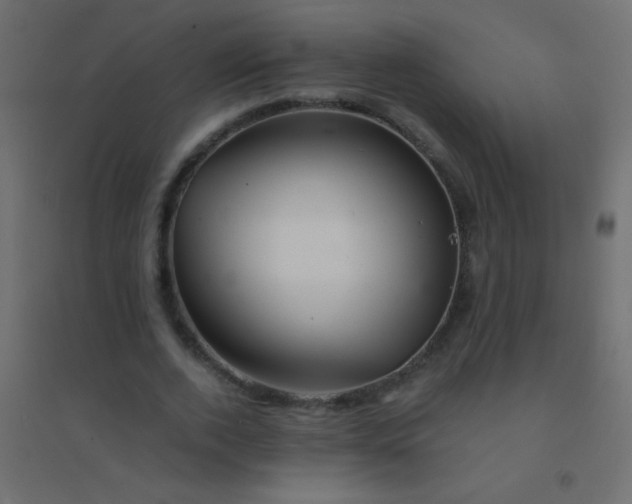 X0000094930728200712131537