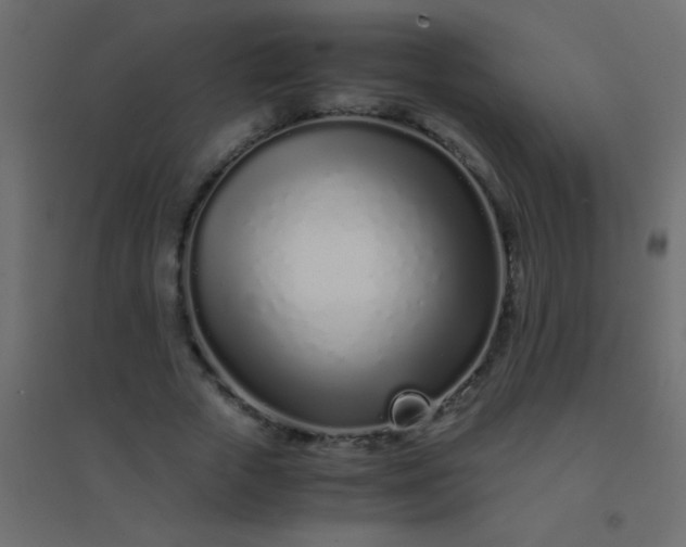 X0000094930729200712131537