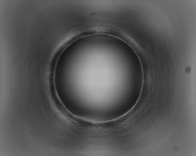 X0000094930730200712131537