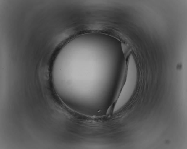 X0000094930731200712131537