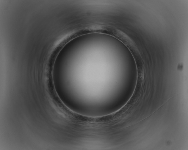 X0000094930732200712131537