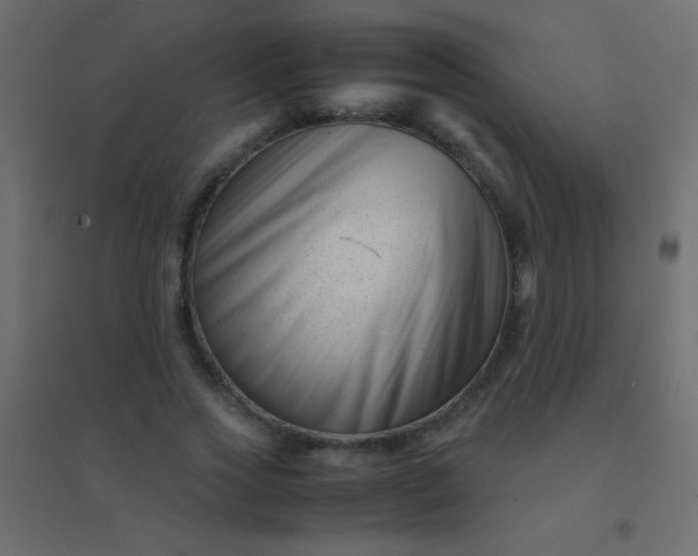 X0000094930733200712131537