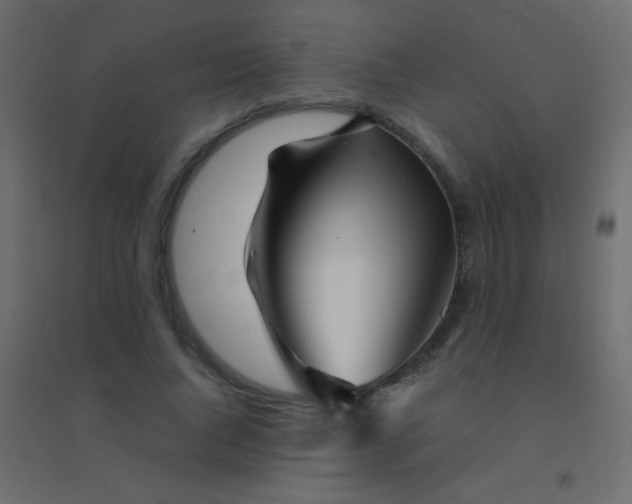 X0000094930736200712131537