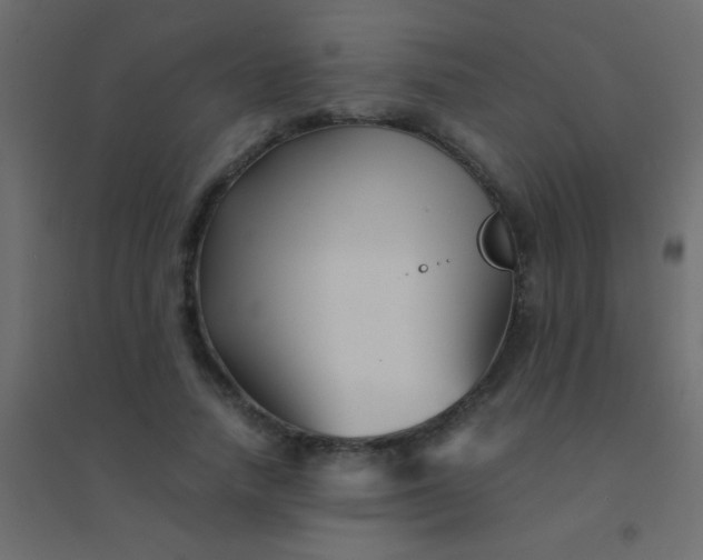 X0000094930738200712131537