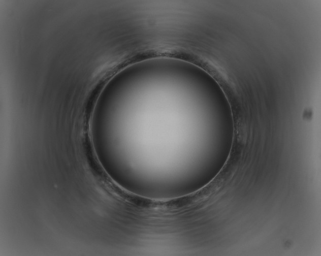 X0000094930740200712131537