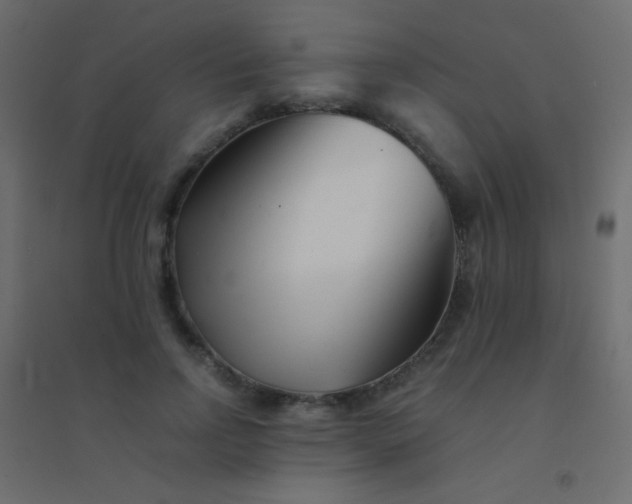 X0000094930742200712131537