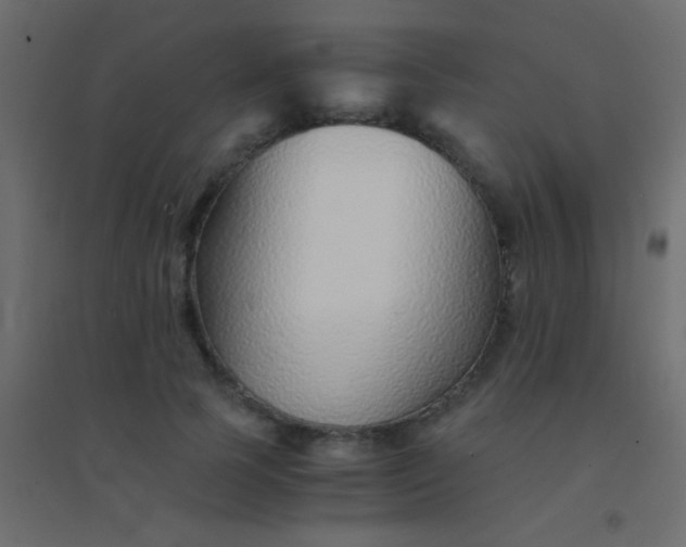 X0000094930745200712131537