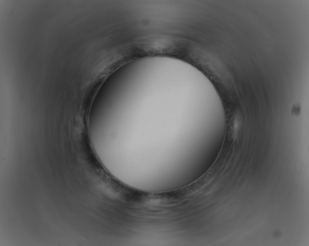 X0000094930746200712131537
