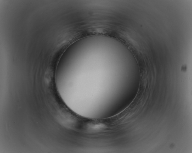 X0000094930747200712131537