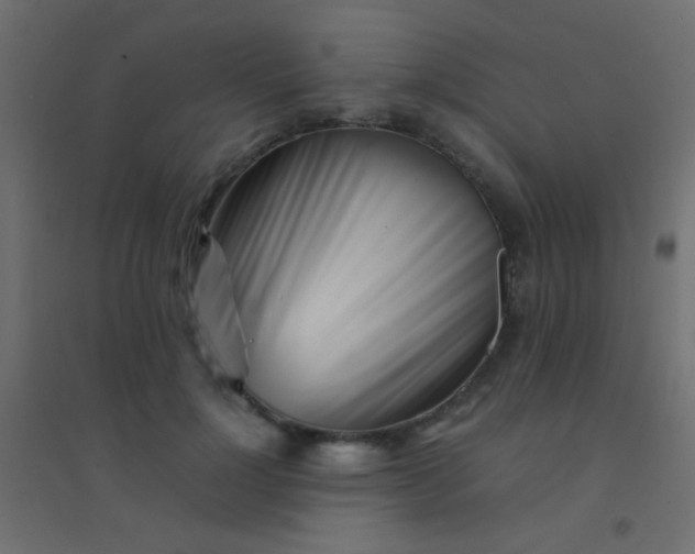 X0000094930748200712131537