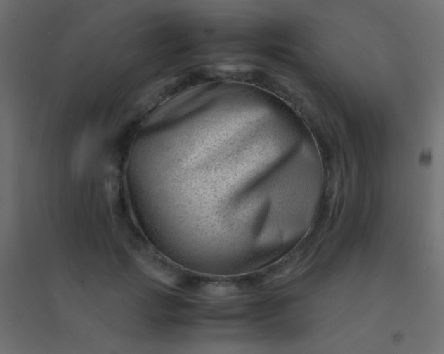 X0000094930749200712131537