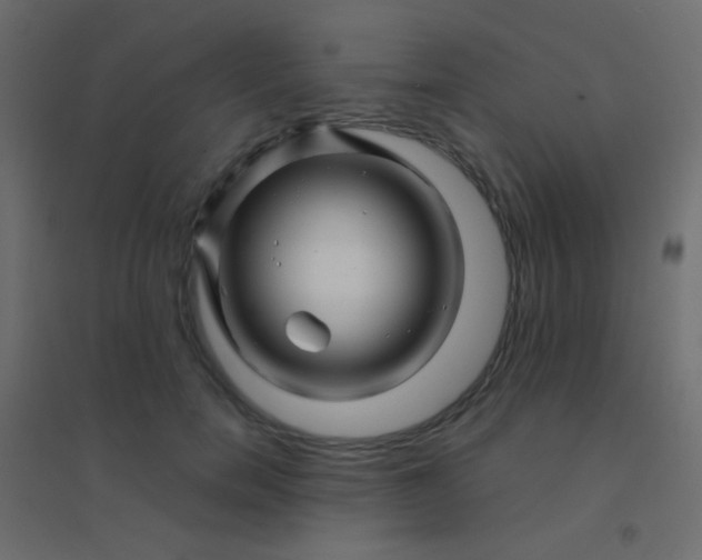 X0000094930750200712131537
