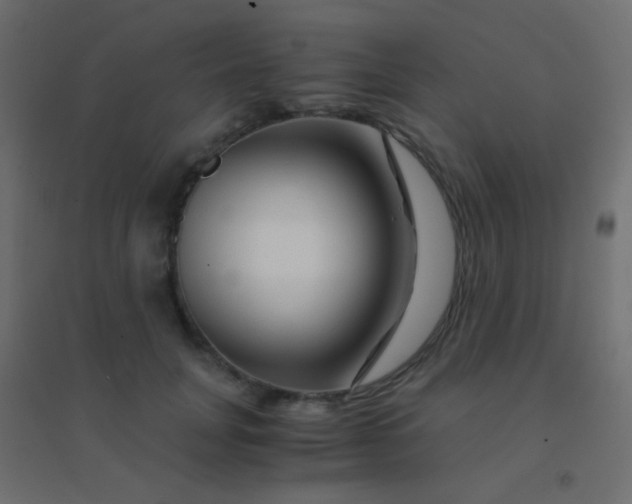 X0000094930751200712131537