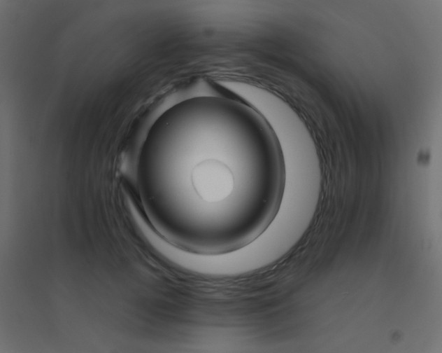 X0000094930752200712131537