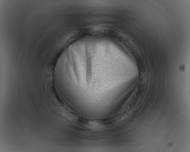 X0000094930753200712131537
