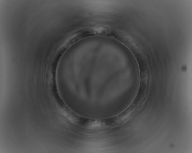 X0000094930754200712131537