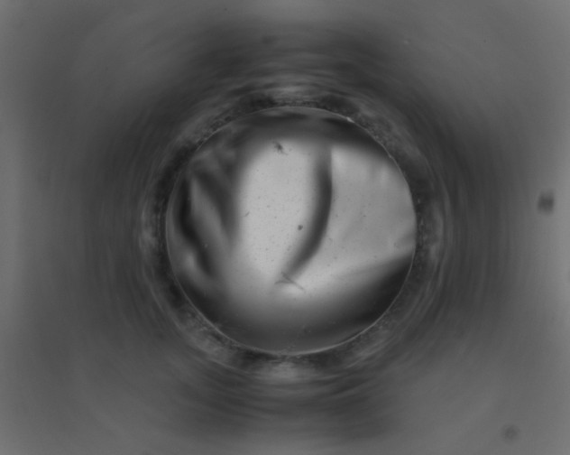 X0000094930755200712131537