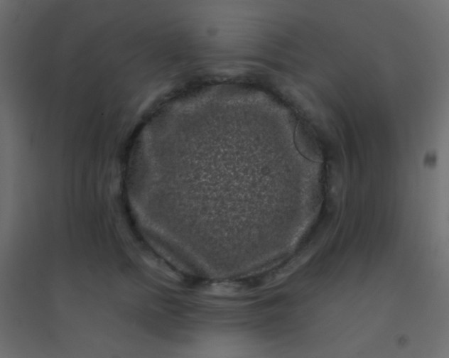 X0000094930758200712131537