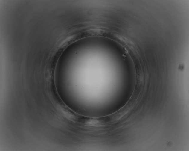 X0000094930759200712131537