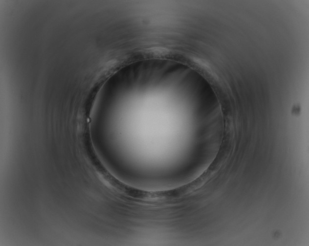 X0000094930760200712131537