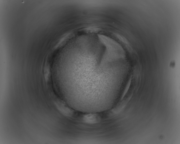 X0000094930761200712131537