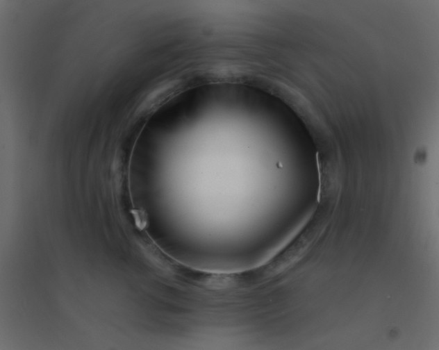 X0000094930762200712131537