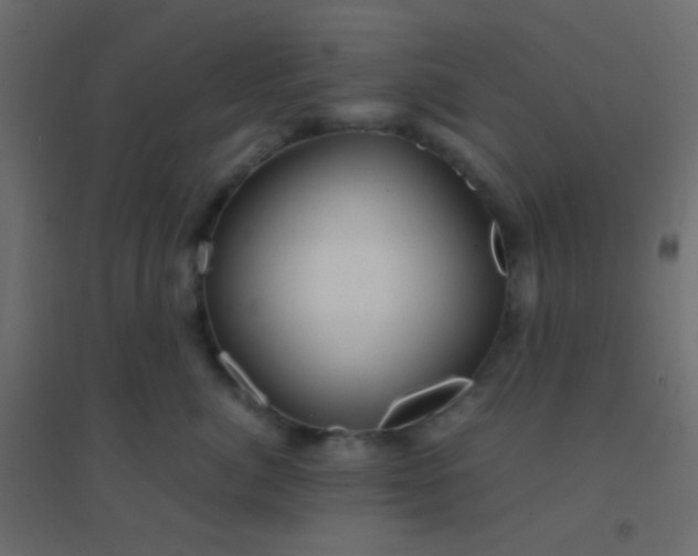 X0000094930764200712131537