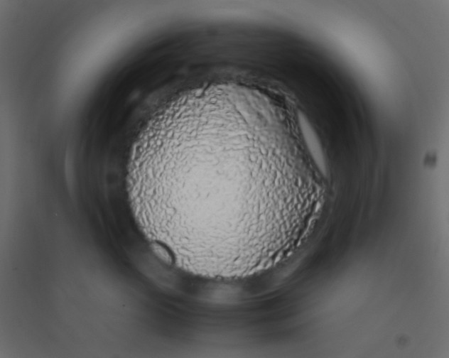 X0000094930765200712131537