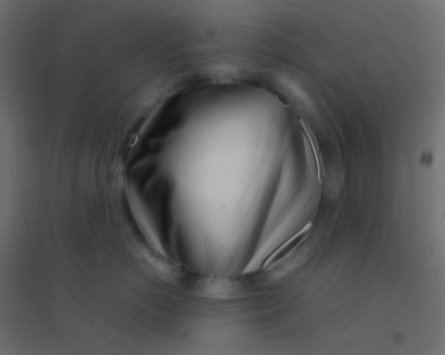 X0000094930766200712131537