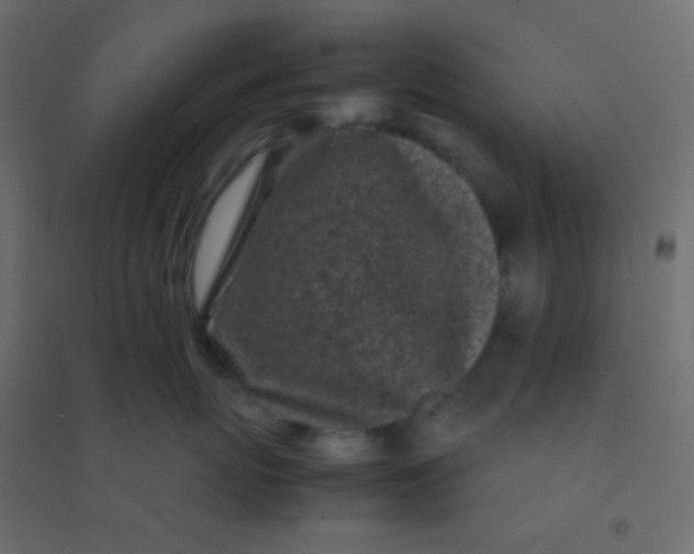 X0000094930767200712131537