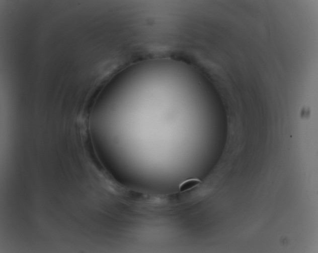 X0000094930768200712131537
