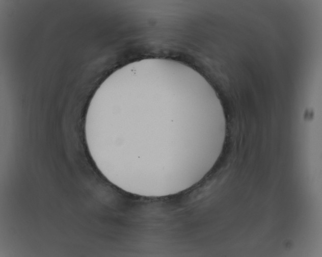 X0000094930769200712131536