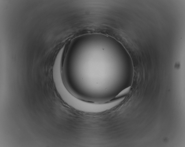 X0000094930770200712131536