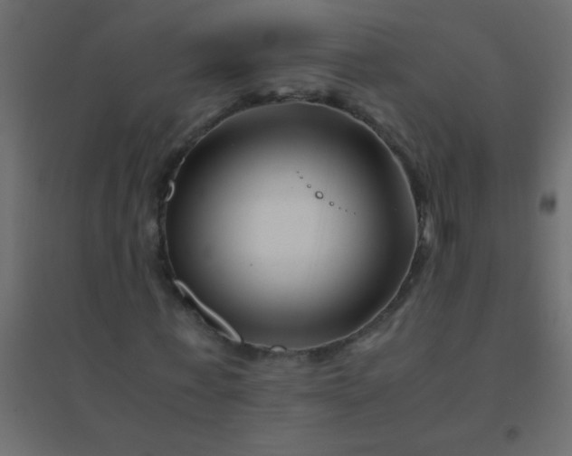 X0000094930771200712131536