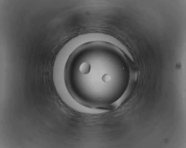 X0000094930772200712131536