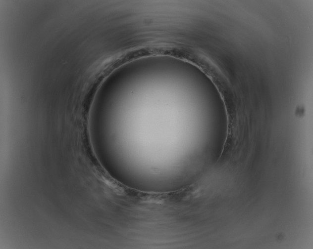 X0000094930773200712131536