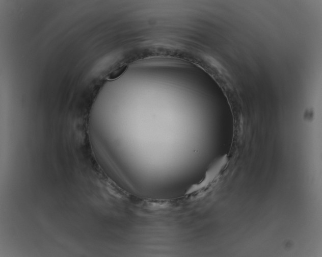 X0000094930774200712131536