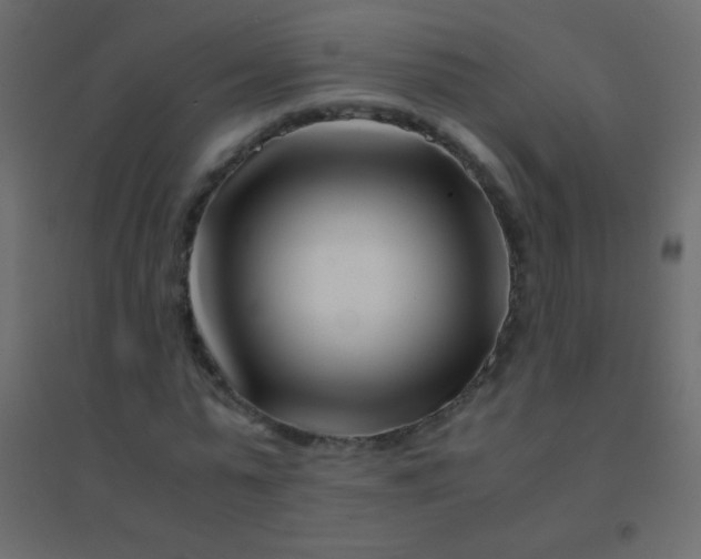 X0000094930775200712131536