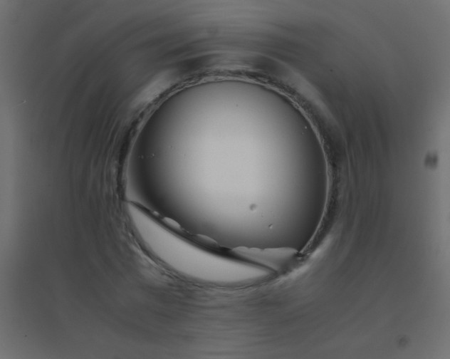 X0000094930777200712131536