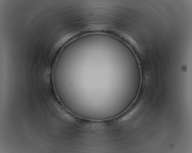X0000094930778200712131536