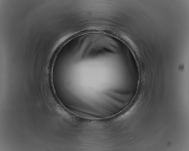 X0000094930779200712131536