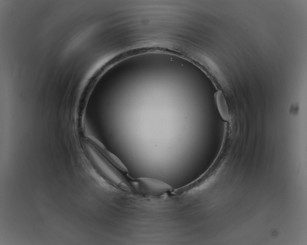 X0000094930780200712131536