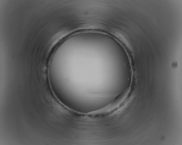 X0000094930781200712131536